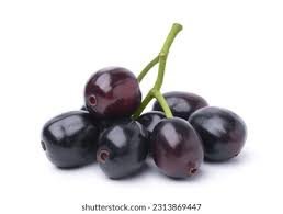 Jamun Berry - Image 3