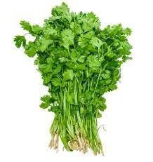 Farm-Fresh Coriander leaf's