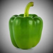 Capsicum