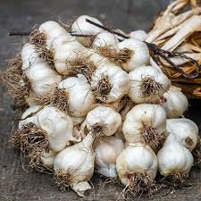 Desi Garlic