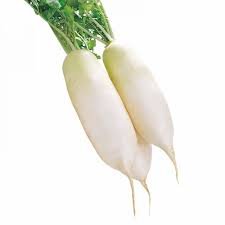 Fresh Radish